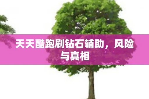 天天酷跑刷钻石辅助,风险与真相 天天酷跑刷钻石辅助,风险与真相