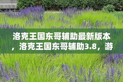 洛克王国东哥辅助最新版本,洛克王国东哥辅助3.8,游戏新纪元 洛克王国东哥辅助最新版本,洛克王国东哥辅助3.8,游戏新纪元