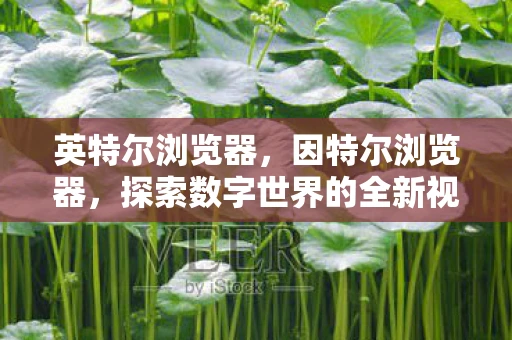 英特尔浏览器，因特尔浏览器，探索数字世界的全新视界