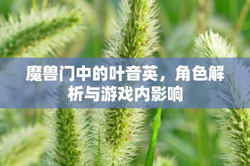 角色解析与游戏内影响图片