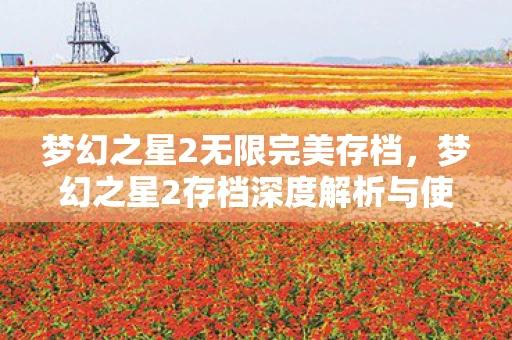 梦幻之星2无限完美存档,梦幻之星2存档深度解析与使用指南—手游玩家的必备手册 梦幻之星2无限完美存档,梦幻之星2存档深度解析与使用指南—手游玩家的必备手册