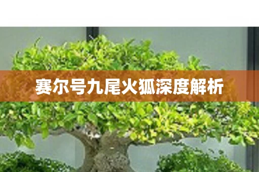 赛尔号九尾火狐深度解析图片