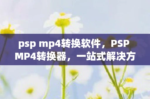 psp mp4转换软件，PSP MP4转换器，一站式解决方案，让您轻松实现视频格式转换