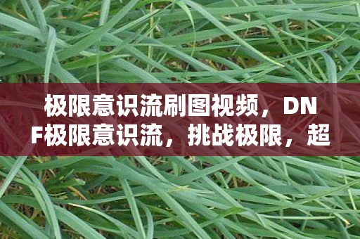 极限意识流刷图视频，DNF极限意识流，挑战极限，超越自我
