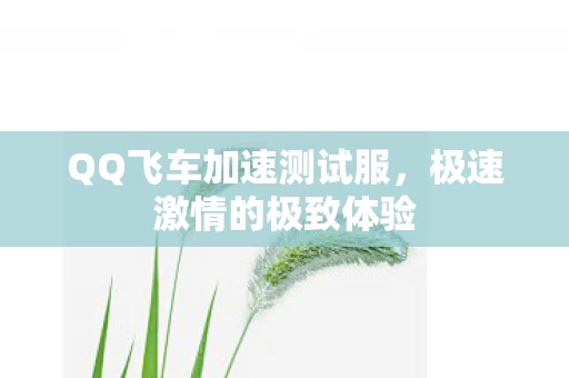 QQ飞车加速测试服图片