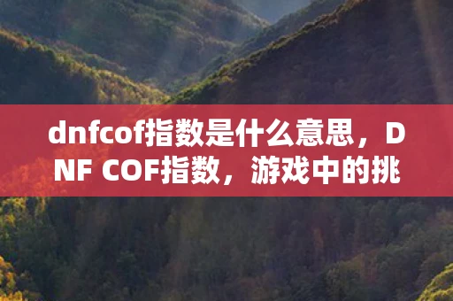 dnfcof指数是什么意思，DNF COF指数，游戏中的挑战与机遇