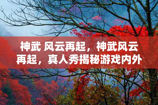 神武 风云再起,神武风云再起,真人秀揭秘游戏内外的热血江湖 神武 风云再起,神武风云再起,真人秀揭秘游戏内外的热血江湖