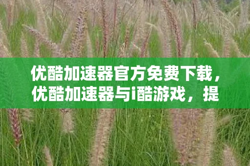 优酷加速器官方免费下载,优酷加速器与i酷游戏,提升体验,尽享畅玩 优酷加速器官方免费下载,优酷加速器与i酷游戏,提升体验,尽享畅玩