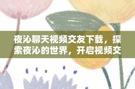 夜沁聊天视频交友下载图片