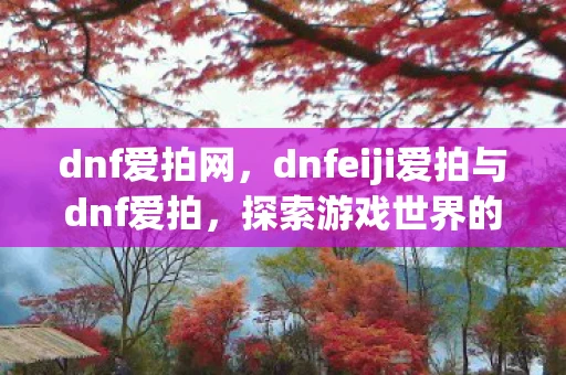 dnf爱拍网，dnfeiji爱拍与dnf爱拍，探索游戏世界的无限可能资讯
