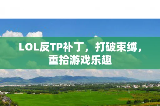 LOL反TP补丁，打破束缚，重拾游戏乐趣