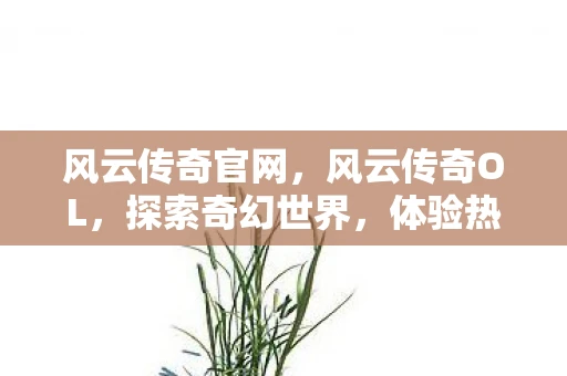 风云传奇官网,风云传奇OL,探索奇幻世界,体验热血战斗 风云传奇官网,风云传奇OL,探索奇幻世界,体验热血战斗