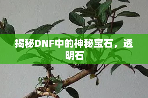 揭秘DNF中的神秘宝石图片