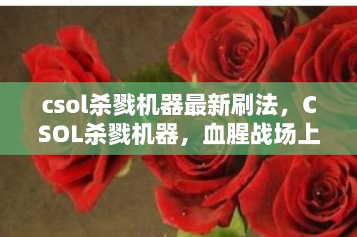 csol杀戮机器最新刷法，CSOL杀戮机器，血腥战场上的无情杀手