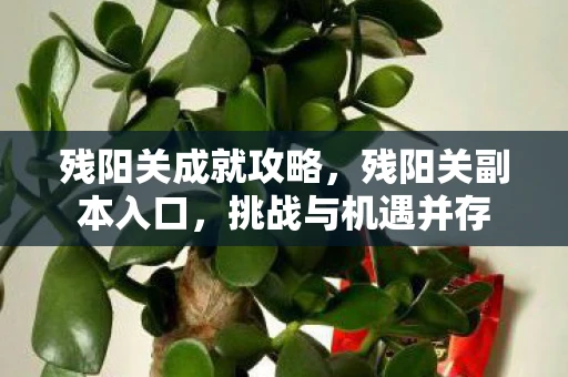 残阳关成就攻略,残阳关副本入口,挑战与机遇并存 残阳关成就攻略,残阳关副本入口,挑战与机遇并存