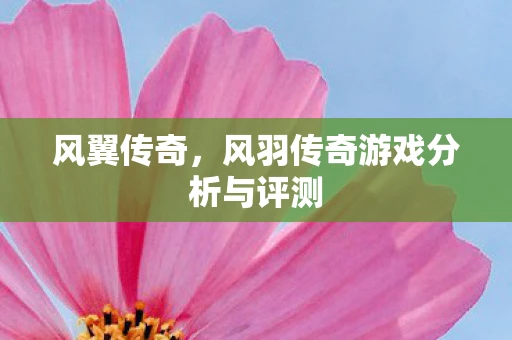 风翼传奇,风羽传奇游戏分析与评测 风翼传奇,风羽传奇游戏分析与评测