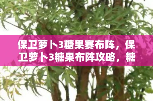 保卫萝卜3糖果赛布阵，保卫萝卜3糖果布阵攻略，糖果布阵策略大揭秘