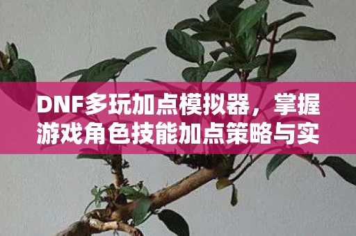 掌握游戏角色技能加点策略与实战应用的艺术图片