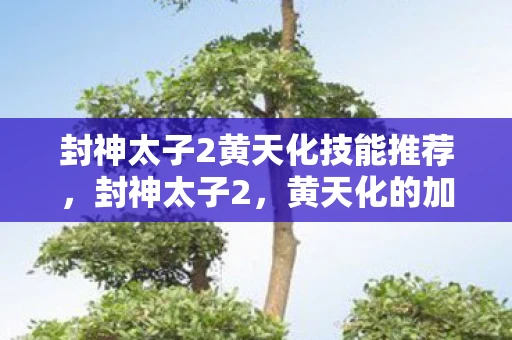 封神太子2黄天化技能推荐，封神太子2，黄天化的加点策略与分析