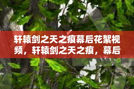轩辕剑之天之痕幕后花絮视频,轩辕剑之天之痕,幕后揭秘与游戏魅力探寻 轩辕剑之天之痕幕后花絮视频,轩辕剑之天之痕,幕后揭秘与游戏魅力探寻