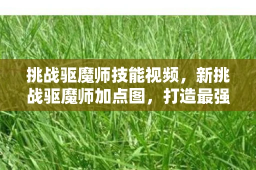 挑战驱魔师技能视频,新挑战驱魔师加点图,打造最强驱魔战士 挑战驱魔师技能视频,新挑战驱魔师加点图,打造最强驱魔战士