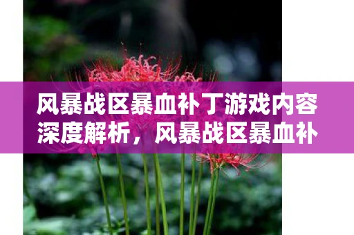 风暴战区暴血补丁游戏内容深度解析,风暴战区暴血补丁游戏内容深度解析 风暴战区暴血补丁游戏内容深度解析,风暴战区暴血补丁游戏内容深度解析