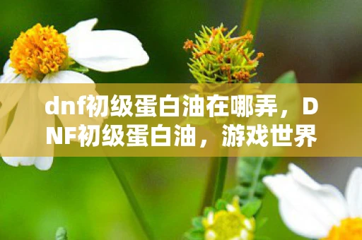 dnf初级蛋白油在哪弄，DNF初级蛋白油，游戏世界的秘密