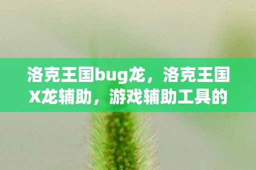 洛克王国bug龙,洛克王国X龙辅助,游戏辅助工具的深度解析资讯频道 洛克王国bug龙,洛克王国X龙辅助,游戏辅助工具的深度解析资讯频道