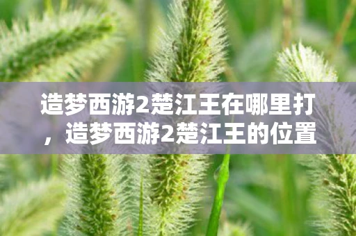 造梦西游2楚江王在哪里打,造梦西游2楚江王的位置与攻略 造梦西游2楚江王在哪里打,造梦西游2楚江王的位置与攻略