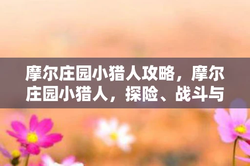 摩尔庄园小猎人攻略，摩尔庄园小猎人，探险、战斗与家园建设的完美结合