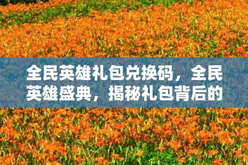 全民英雄礼包兑换码，全民英雄盛典，揭秘礼包背后的英雄世界