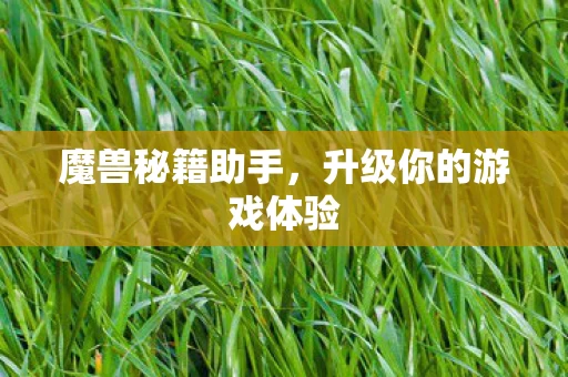 升级你的游戏体验图片