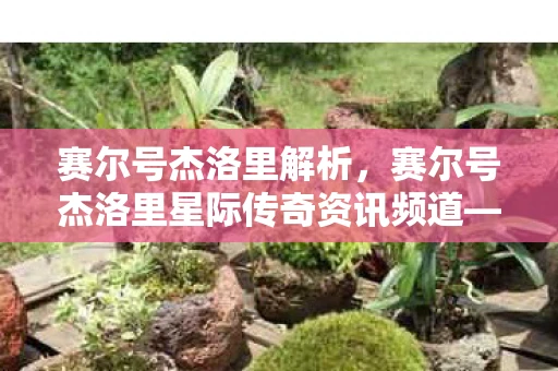 赛尔号杰洛里解析，赛尔号杰洛里星际传奇资讯频道—星际探险者的传奇之旅