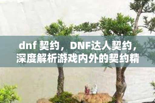 dnf 契约，DNF达人契约，深度解析游戏内外的契约精神