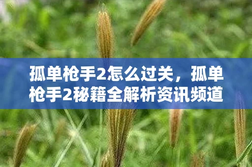 孤单枪手2怎么过关，孤单枪手2秘籍全解析资讯频道