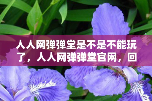 人人网弹弹堂是不是不能玩了,人人网弹弹堂官网,回归童年的弹射游戏 人人网弹弹堂是不是不能玩了,人人网弹弹堂官网,回归童年的弹射游戏