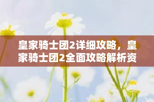 皇家骑士团2详细攻略，皇家骑士团2全面攻略解析资讯