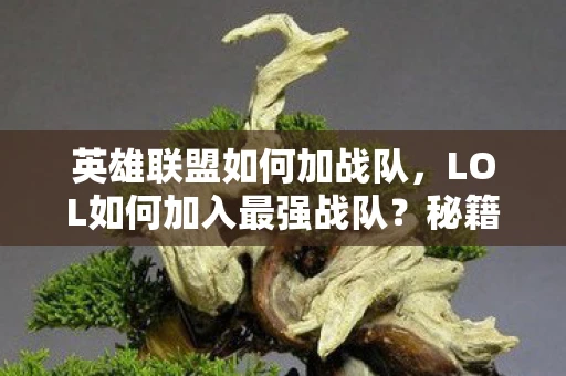 英雄联盟如何加战队,LOL如何加入最强战队?秘籍资讯频道带你揭秘加入战队的全过程 英雄联盟如何加战队,LOL如何加入最强战队?秘籍资讯频道带你揭秘加入战队的全过程