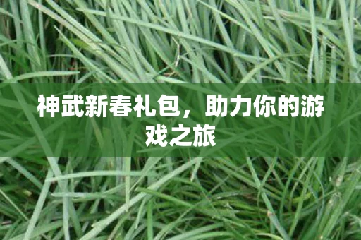 助力你的游戏之旅图片