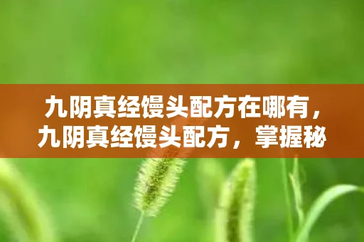 九阴真经馒头配方在哪有,九阴真经馒头配方,掌握秘籍,称霸江湖 九阴真经馒头配方在哪有,九阴真经馒头配方,掌握秘籍,称霸江湖