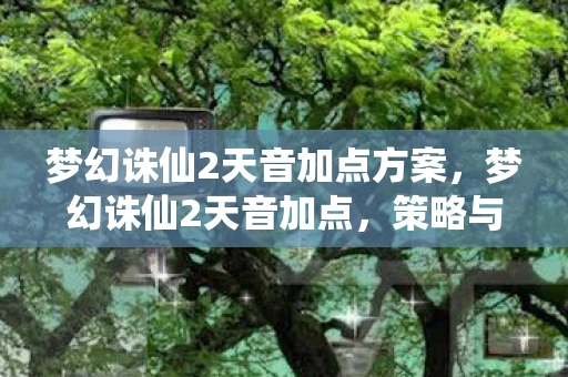 梦幻诛仙2天音加点方案,梦幻诛仙2天音加点,策略与技巧的完美结合 梦幻诛仙2天音加点方案,梦幻诛仙2天音加点,策略与技巧的完美结合