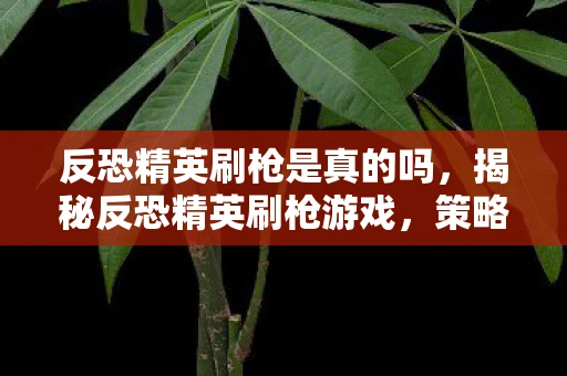 反恐精英刷枪是真的吗，揭秘反恐精英刷枪游戏，策略与秘密资讯