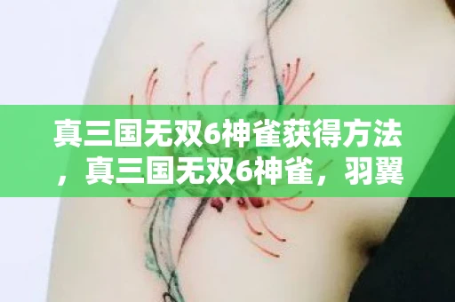 真三国无双6神雀获得方法,真三国无双6神雀,羽翼扇动,烽火再燃 真三国无双6神雀获得方法,真三国无双6神雀,羽翼扇动,烽火再燃