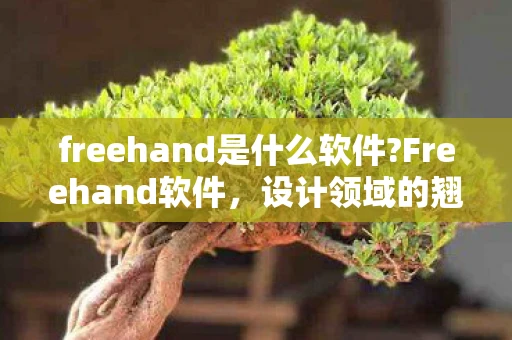 freehand是什么软件?Freehand软件，设计领域的翘楚