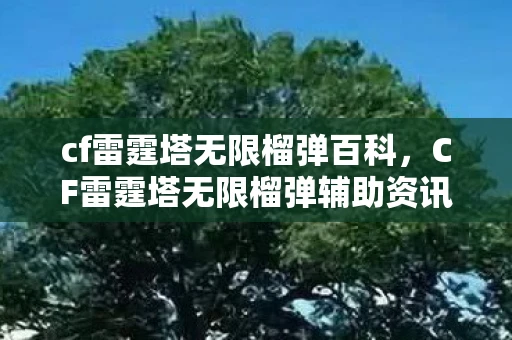 cf雷霆塔无限榴弹百科，CF雷霆塔无限榴弹辅助资讯频道，游戏攻略与实用技巧分享
