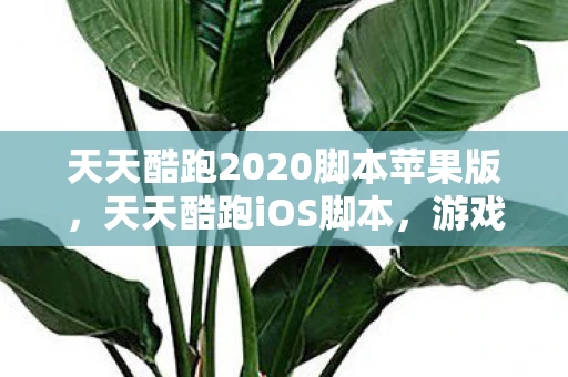 天天酷跑2020脚本苹果版，天天酷跑iOS脚本，游戏乐趣与挑战的平衡