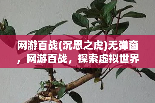网游百战(沉思之虎)无弹窗,网游百战,探索虚拟世界的无尽征途资讯 网游百战(沉思之虎)无弹窗,网游百战,探索虚拟世界的无尽征途资讯