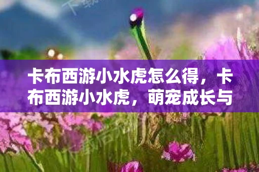 卡布西游小水虎怎么得，卡布西游小水虎，萌宠成长与冒险之旅