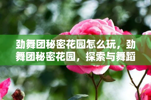 劲舞团秘密花园怎么玩,劲舞团秘密花园,探索与舞蹈的完美结合 劲舞团秘密花园怎么玩,劲舞团秘密花园,探索与舞蹈的完美结合