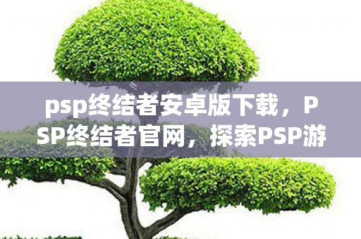psp终结者安卓版下载，PSP终结者官网，探索PSP游戏的无限魅力